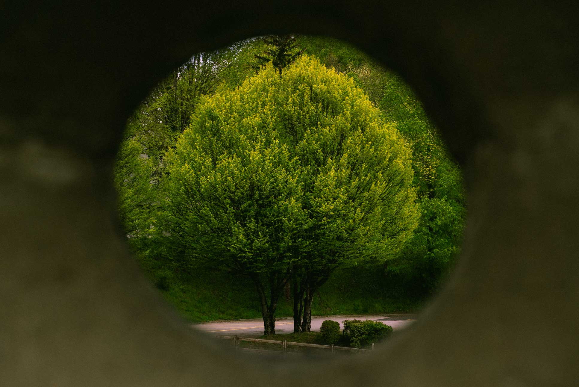 photographed through the city walls