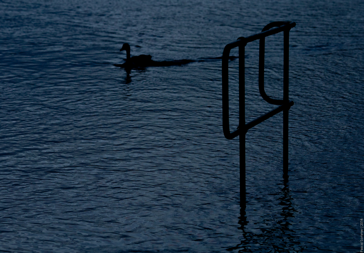 Photo by Pascal Sommer
