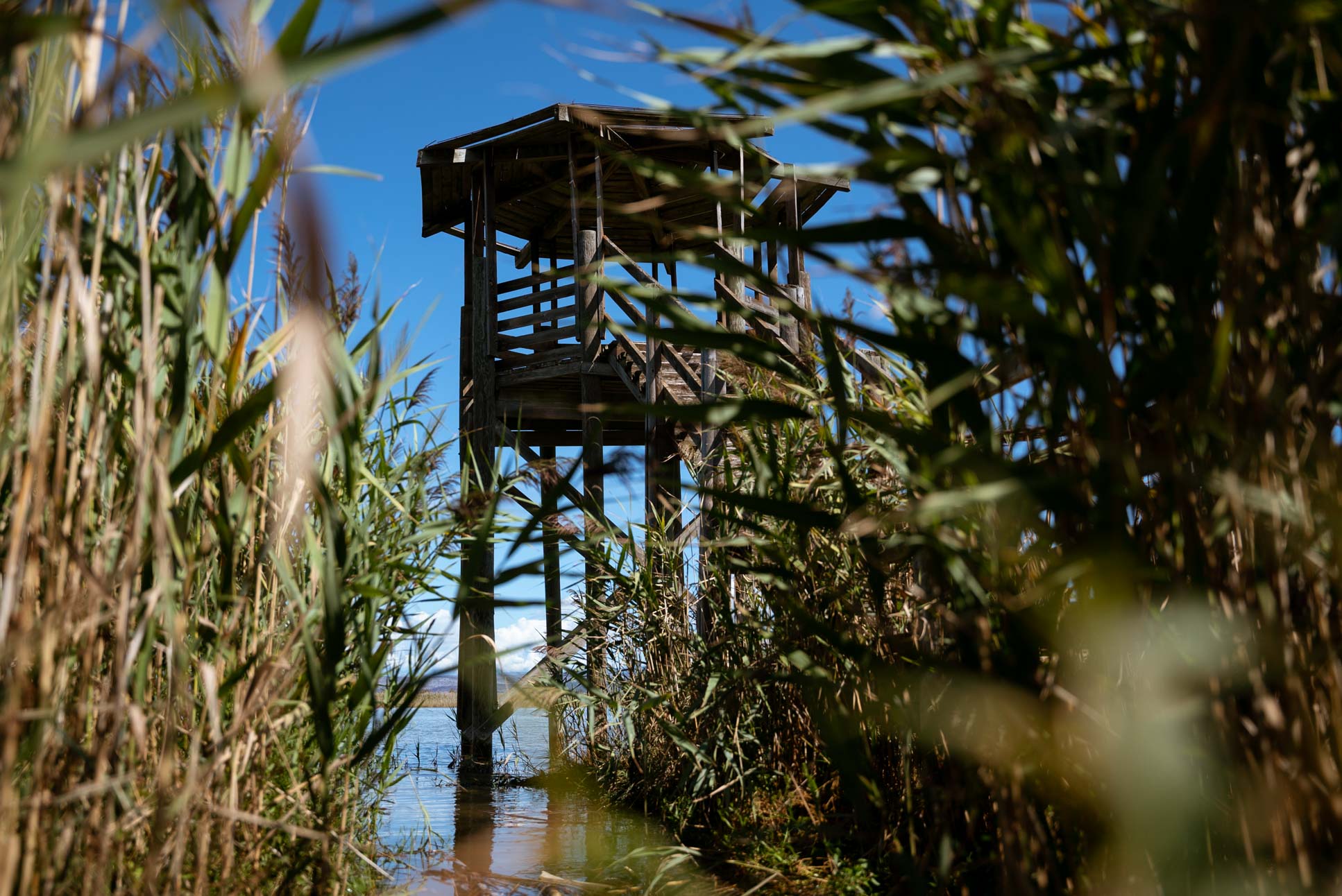 this lookout tower was unfortunately closed off to the public