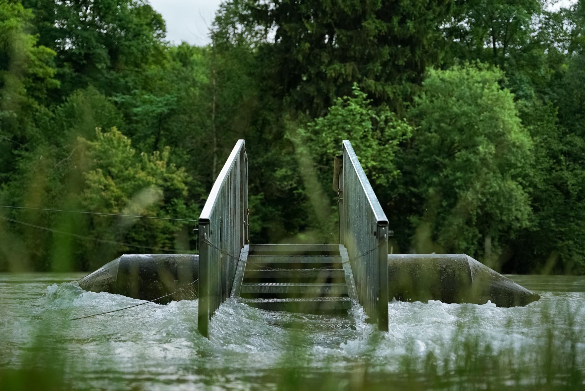 flood