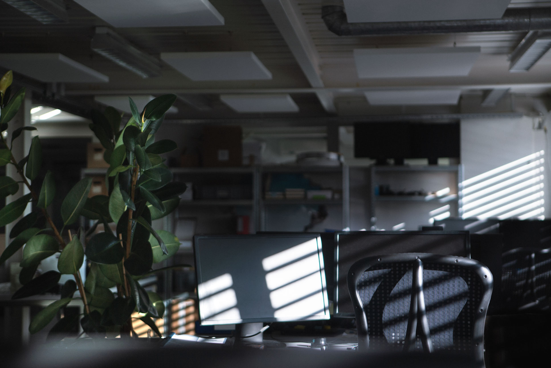 Sunlit office