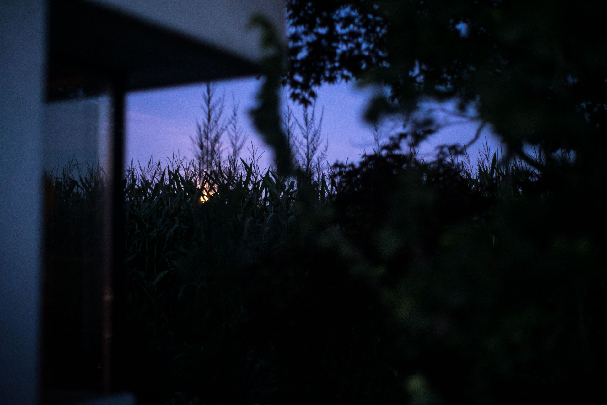 jup, that's enough things in focus. i don't need any more things to be in focus.