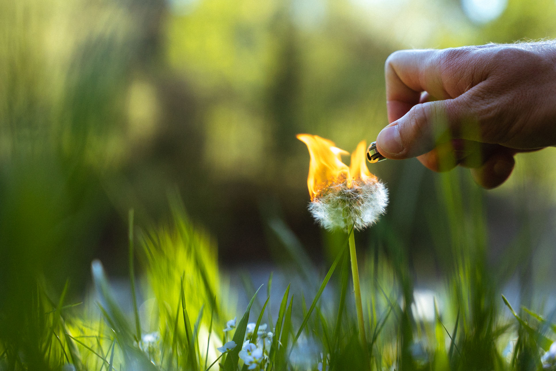 the fleeting kind of moment