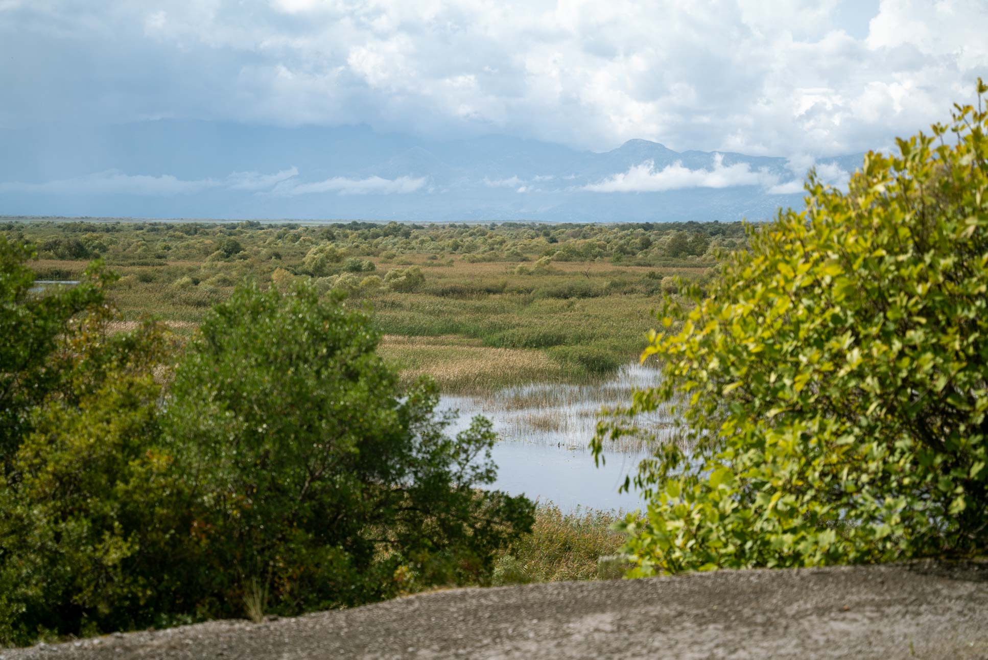 Lake Skadar