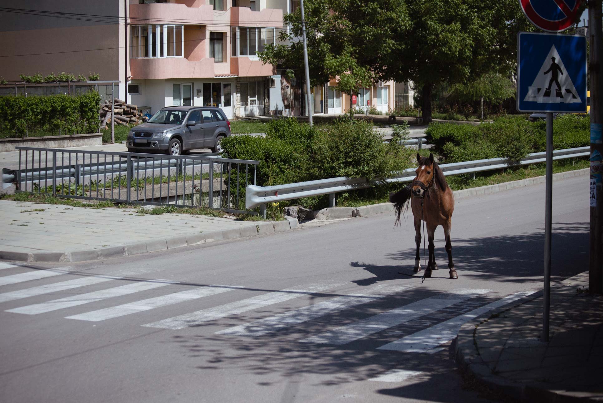 A horse doing its horse things on the main road.