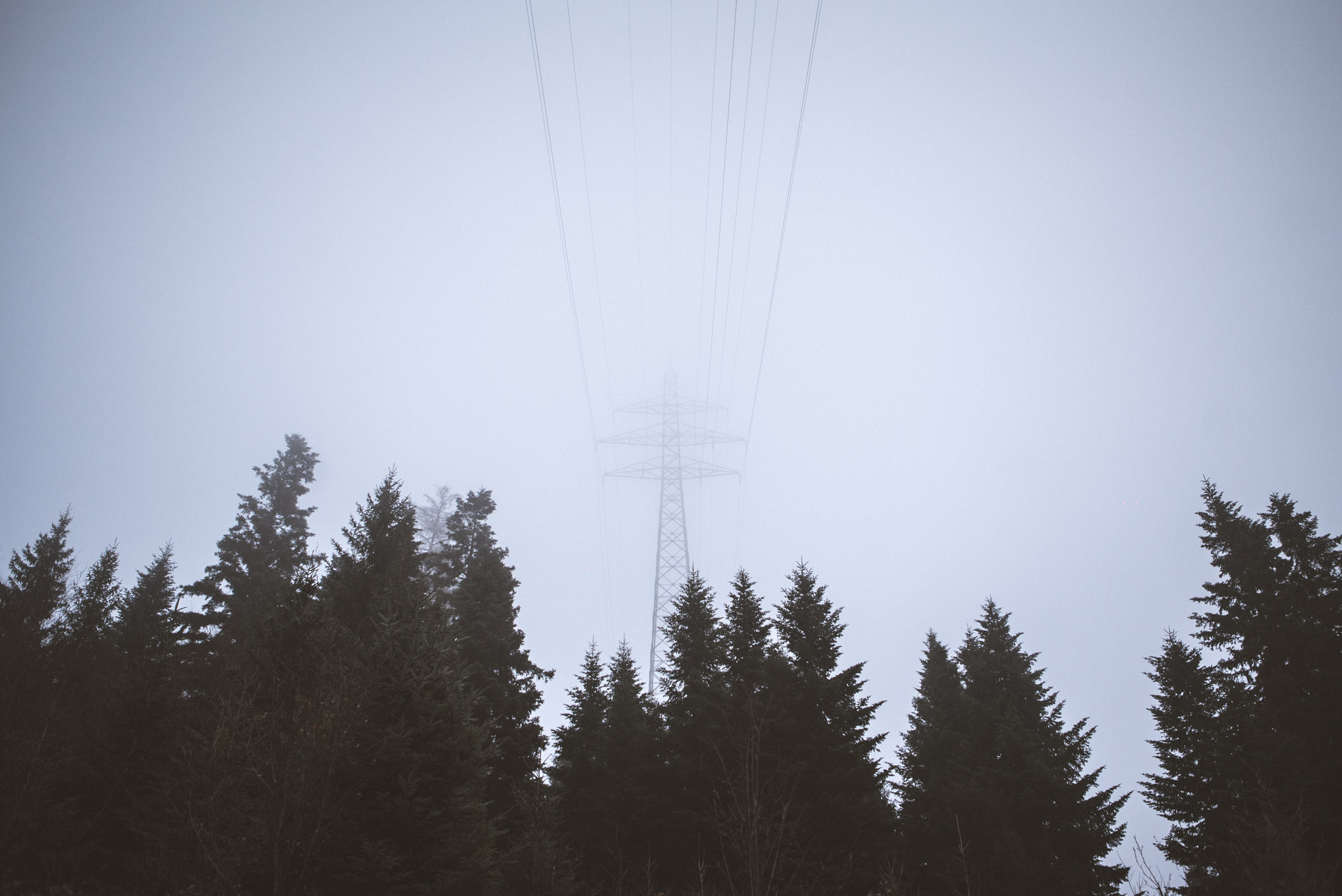 On a hill in Bolligen