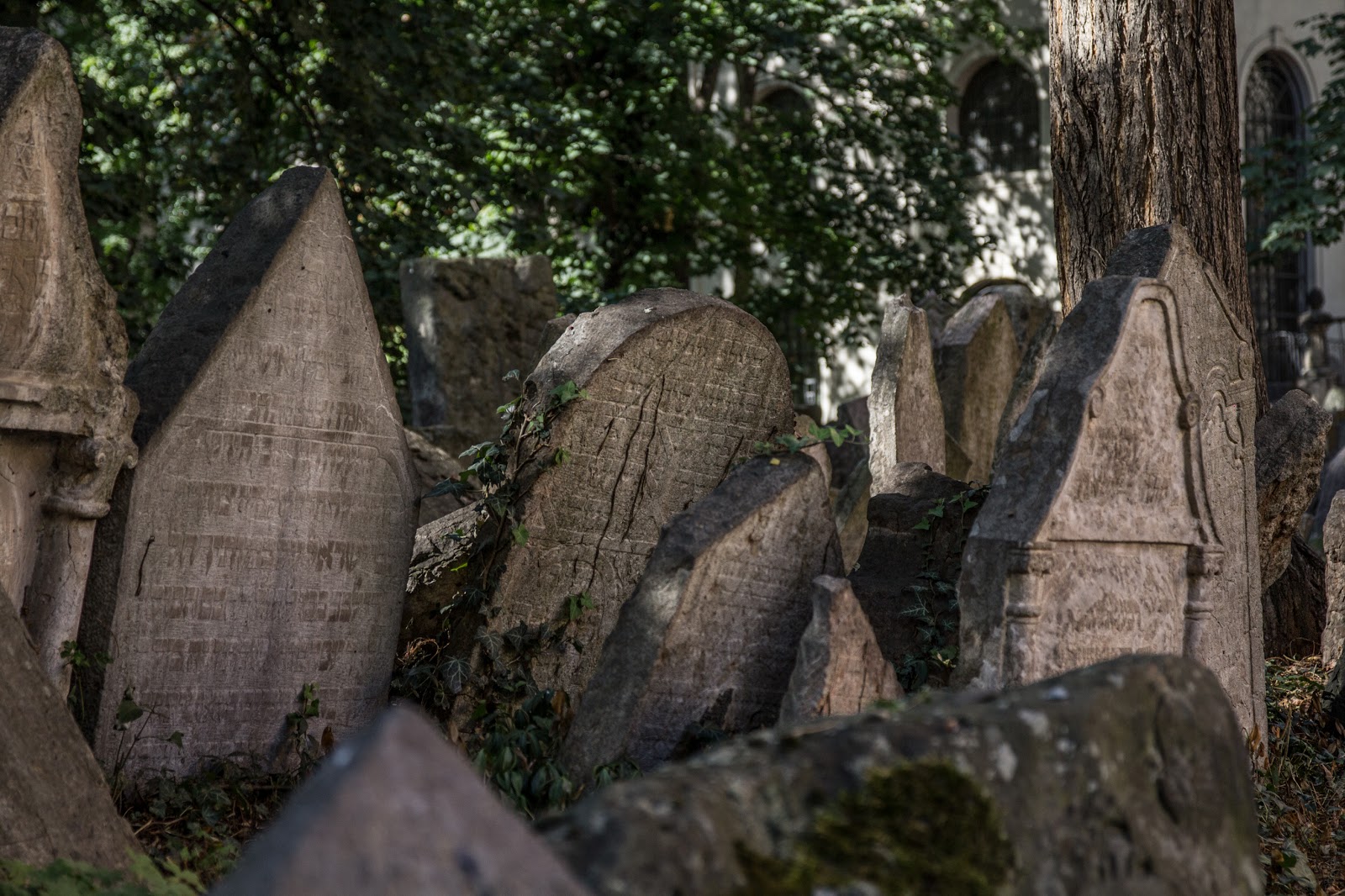 Old Jewish Cemetry