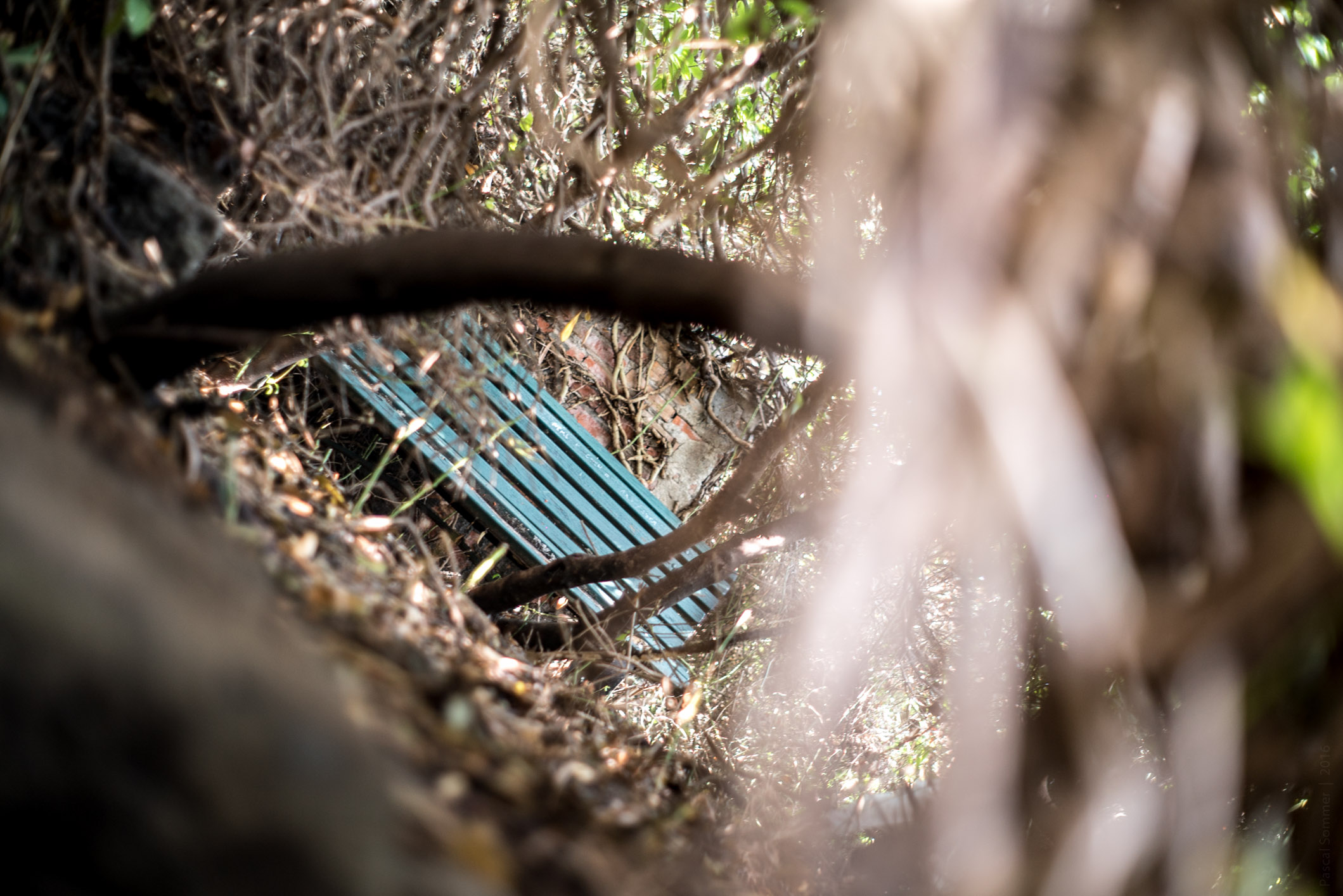 unreachable bench. there's probably tons of metaphors hiding in this one..