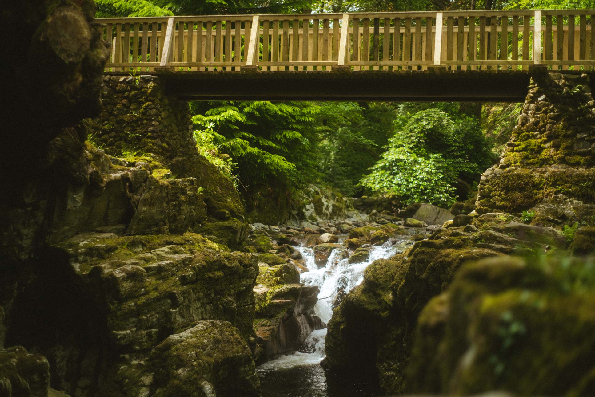Tollymore Forest Park