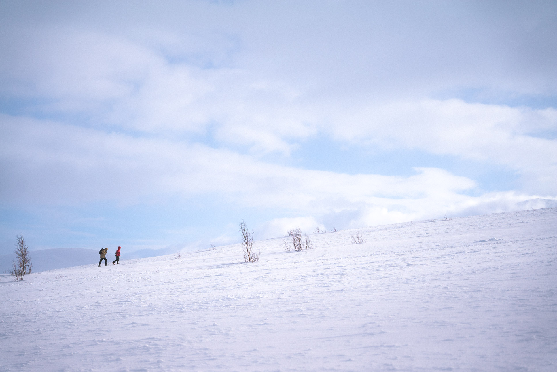 annoying terrain to traverse without snowshoes