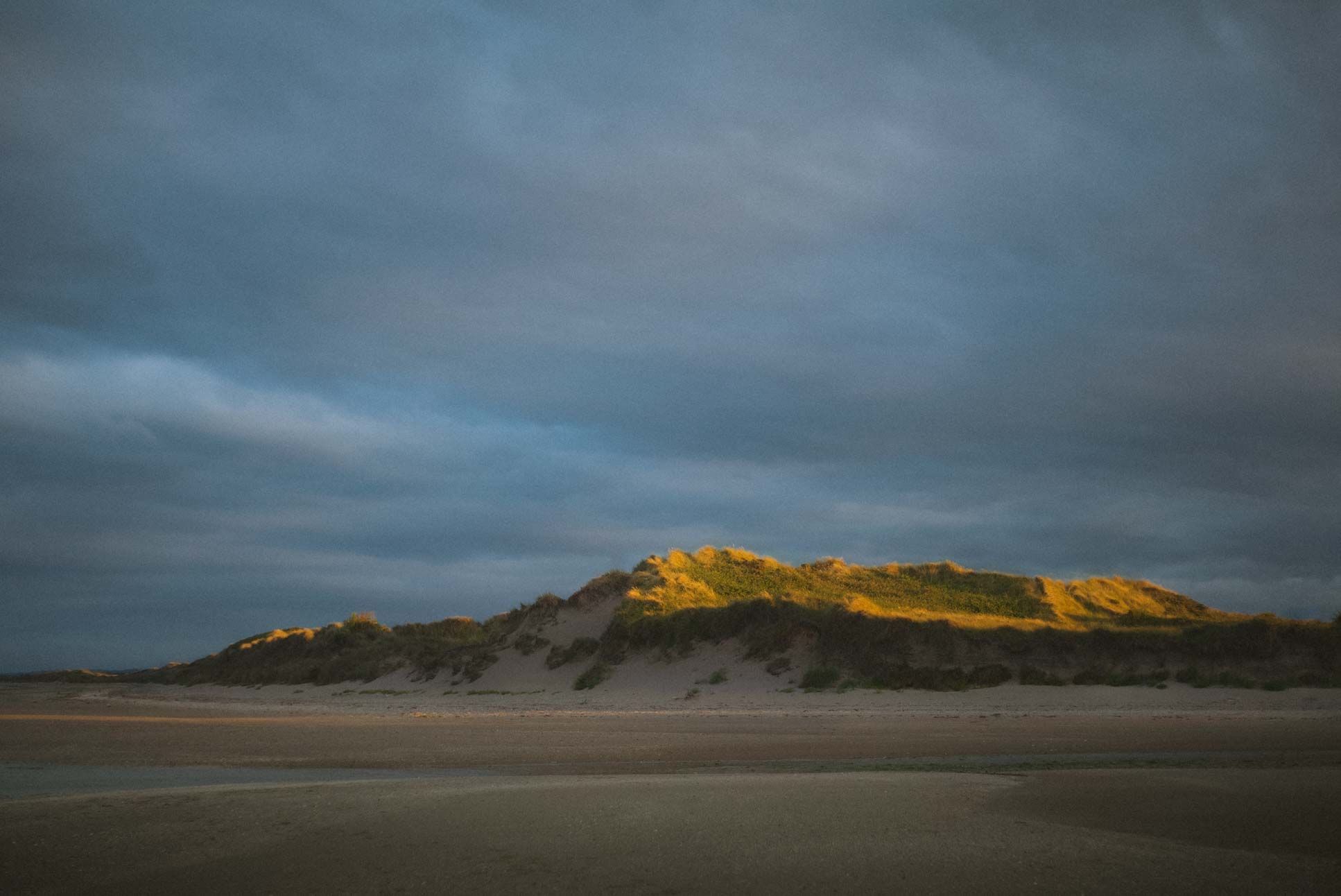 I'm absolutely loving the light conditions we had that evening