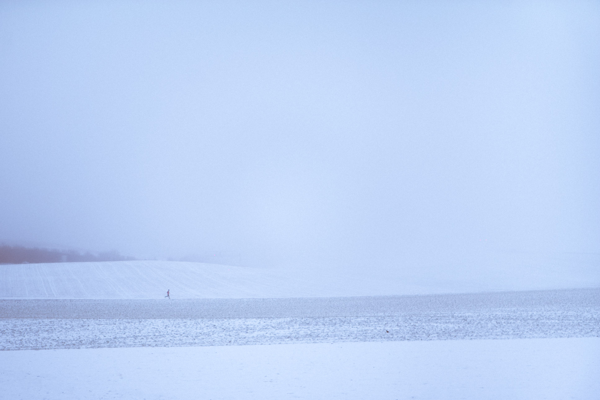 Snow and fog is the best combination