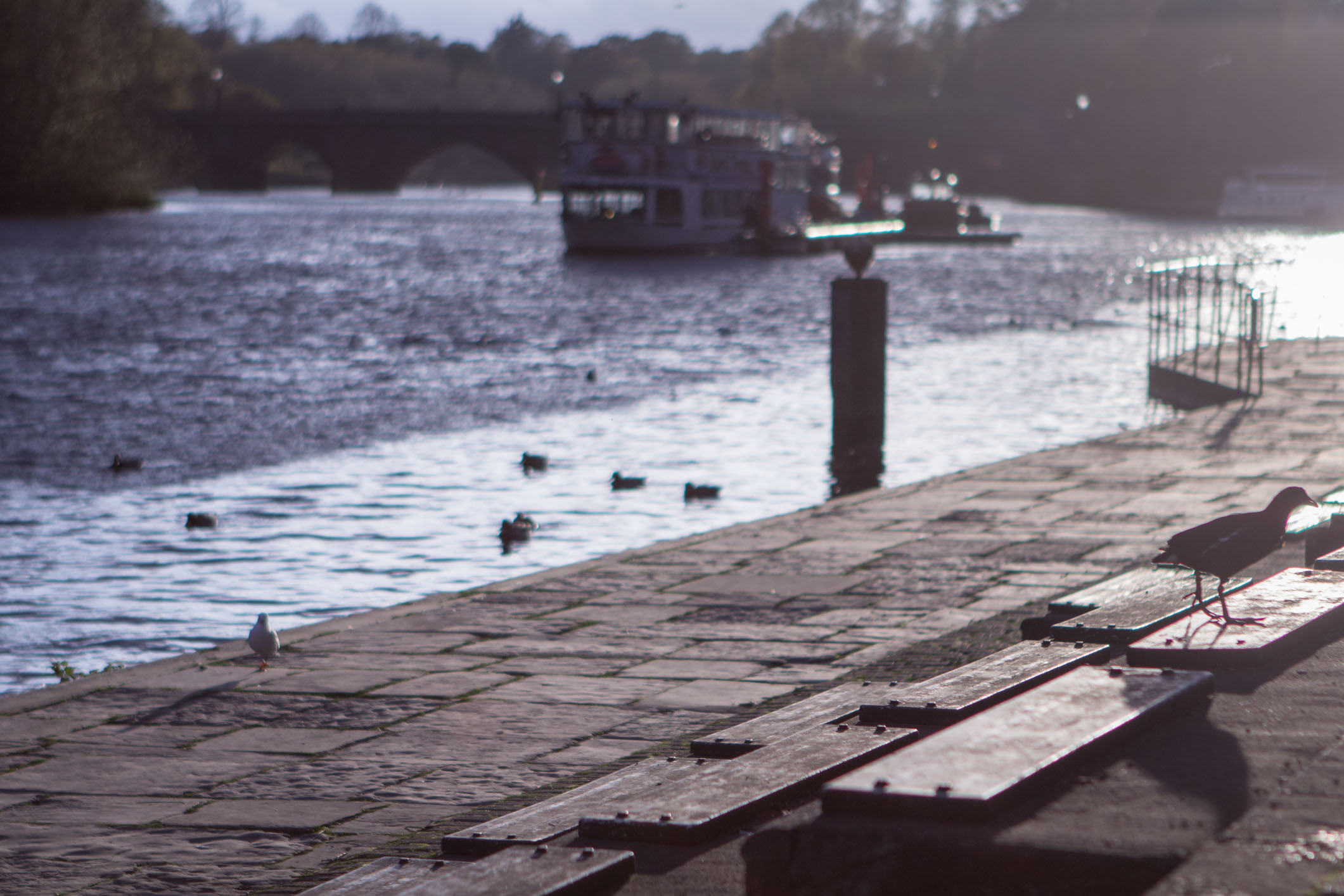 By the river Dee, where I've spent countless hours