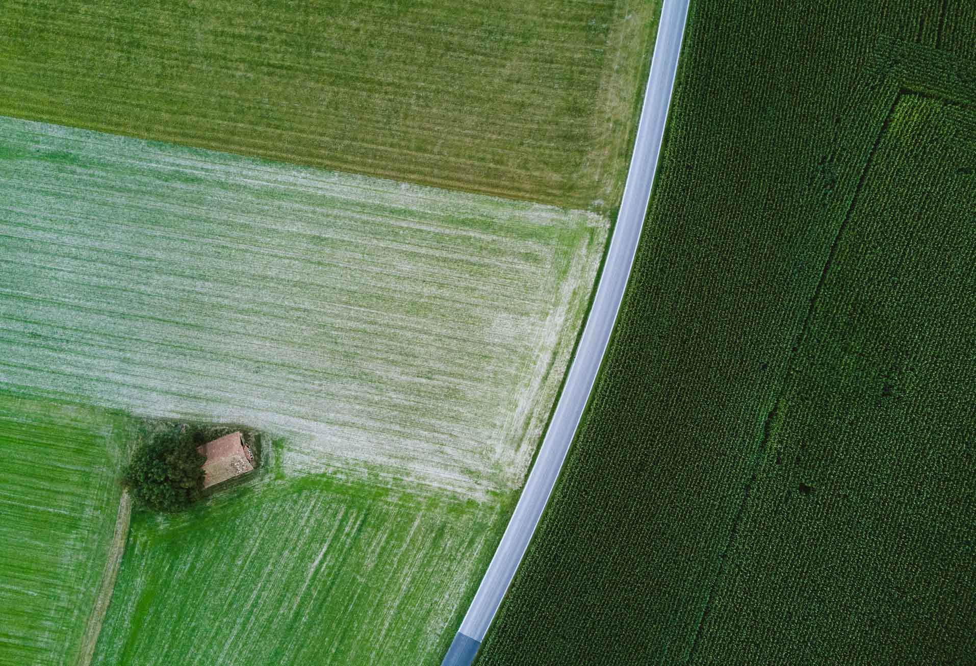 looks very green