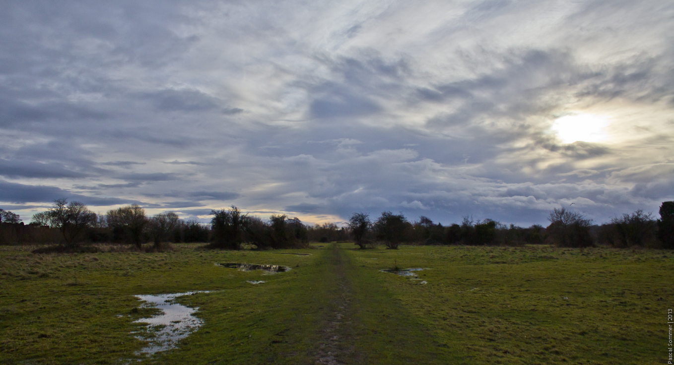 the meadows, currently not flooded!