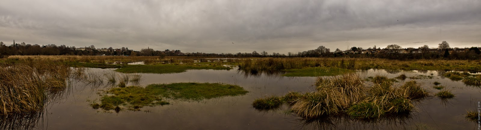 Chester Meadows underwater, as usual