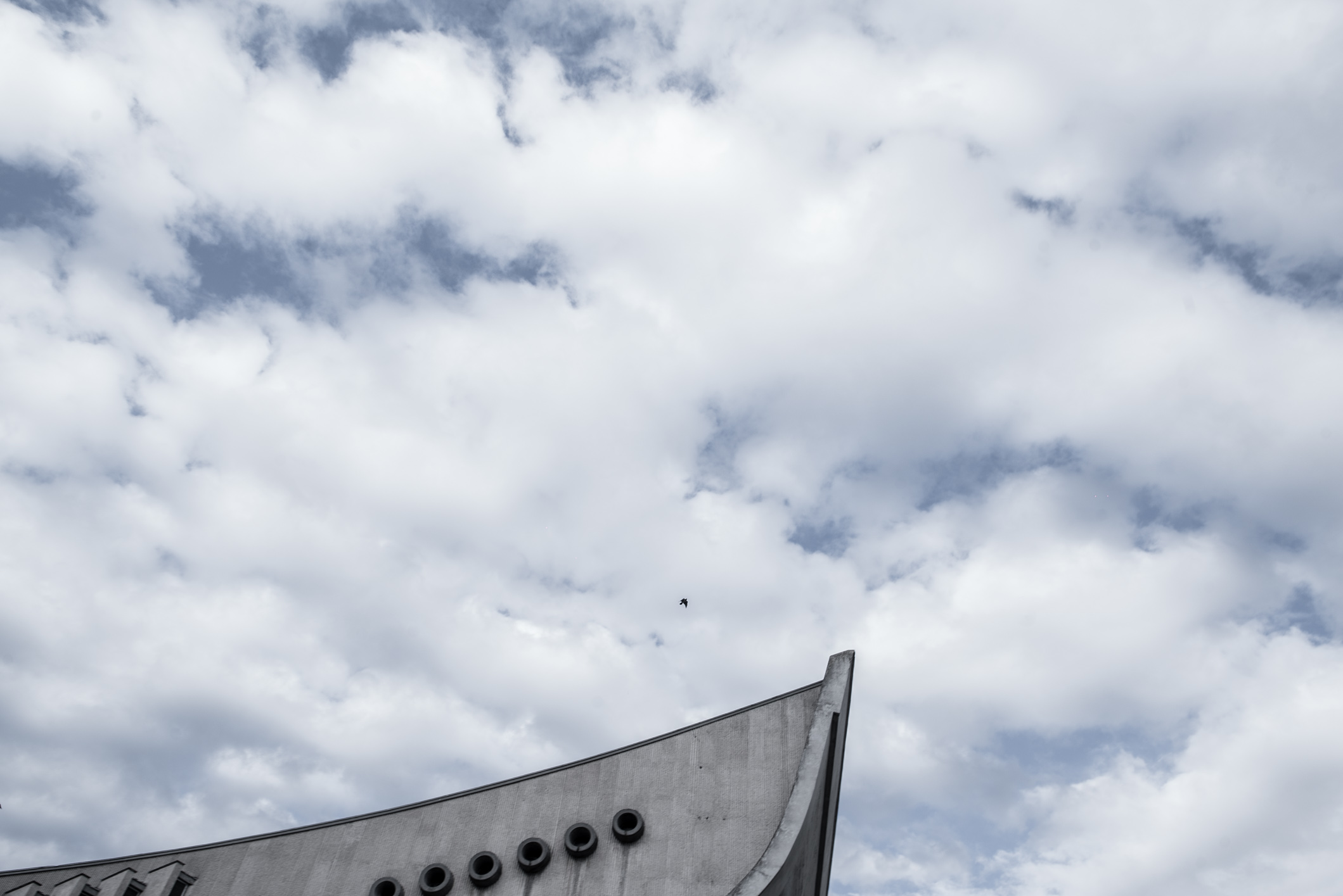 A bird above the Vilnius Palace of Concerts and Sports