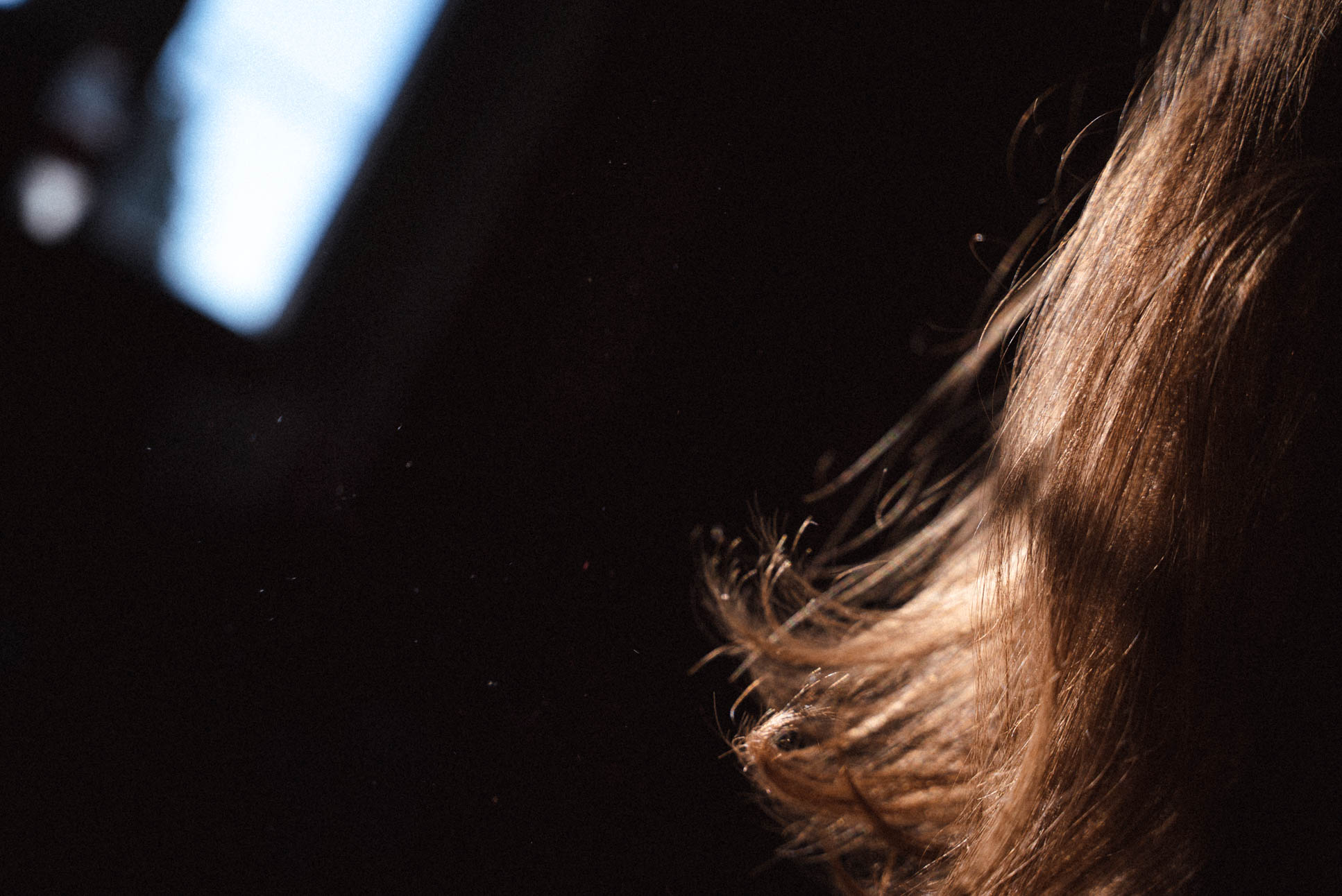 hair and dust particles