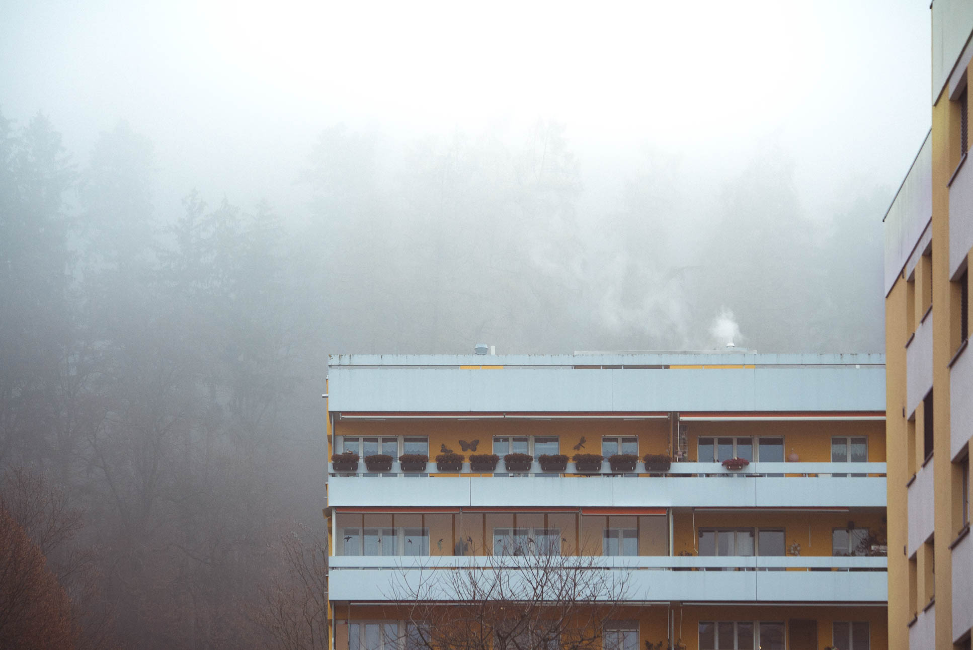 friendly neighbourhood fog