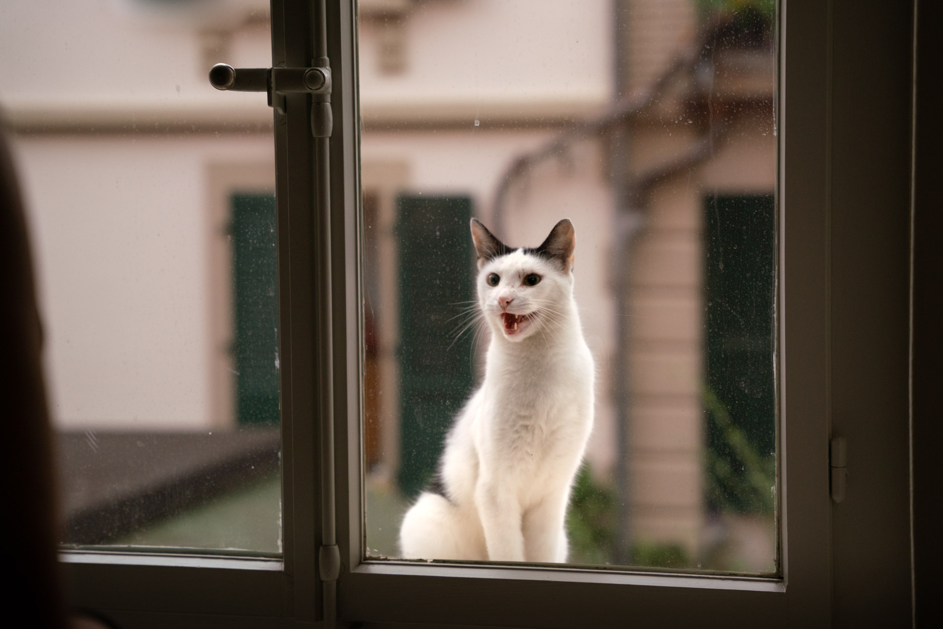 Photo by Pascal Sommer