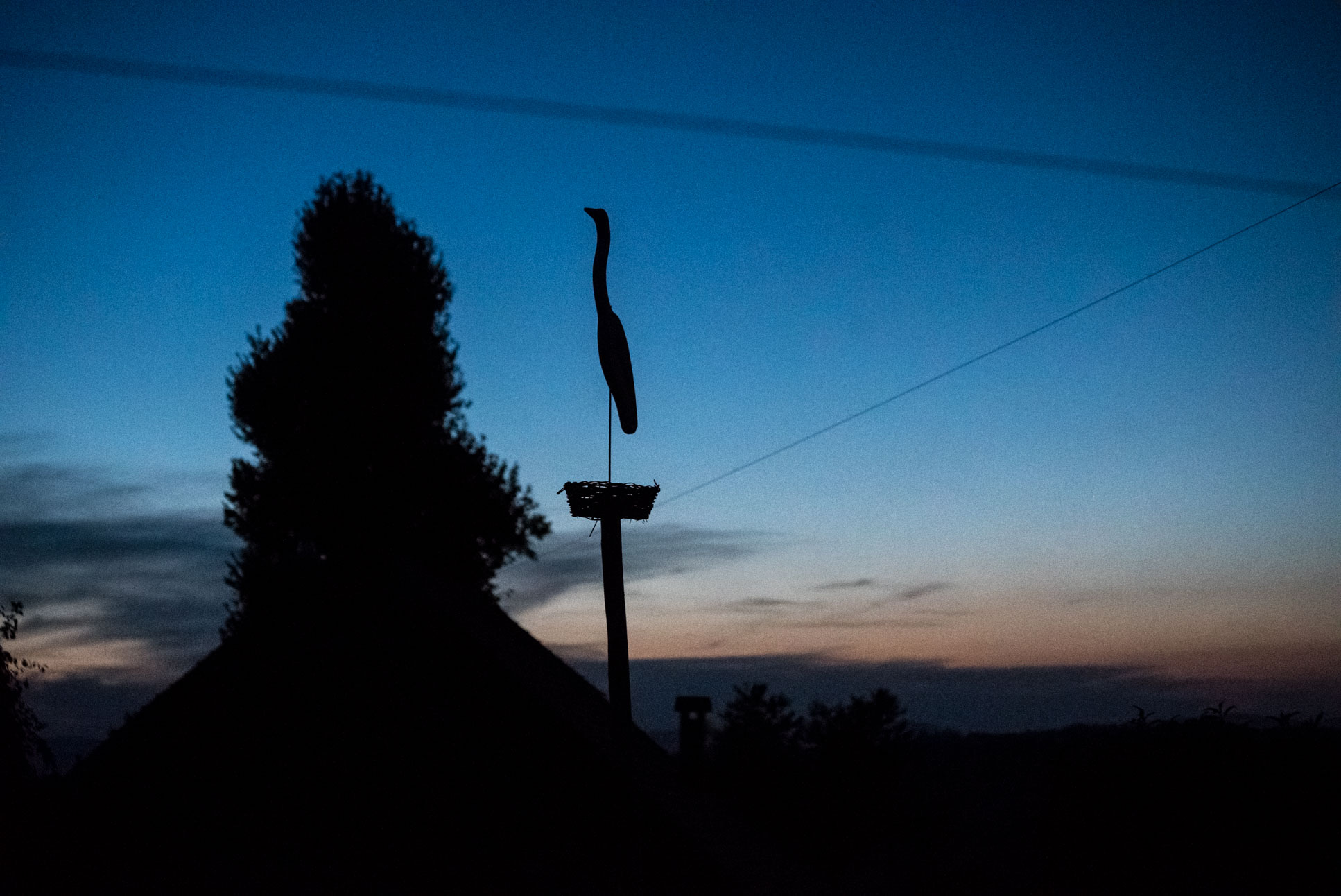 Photo by Pascal Sommer