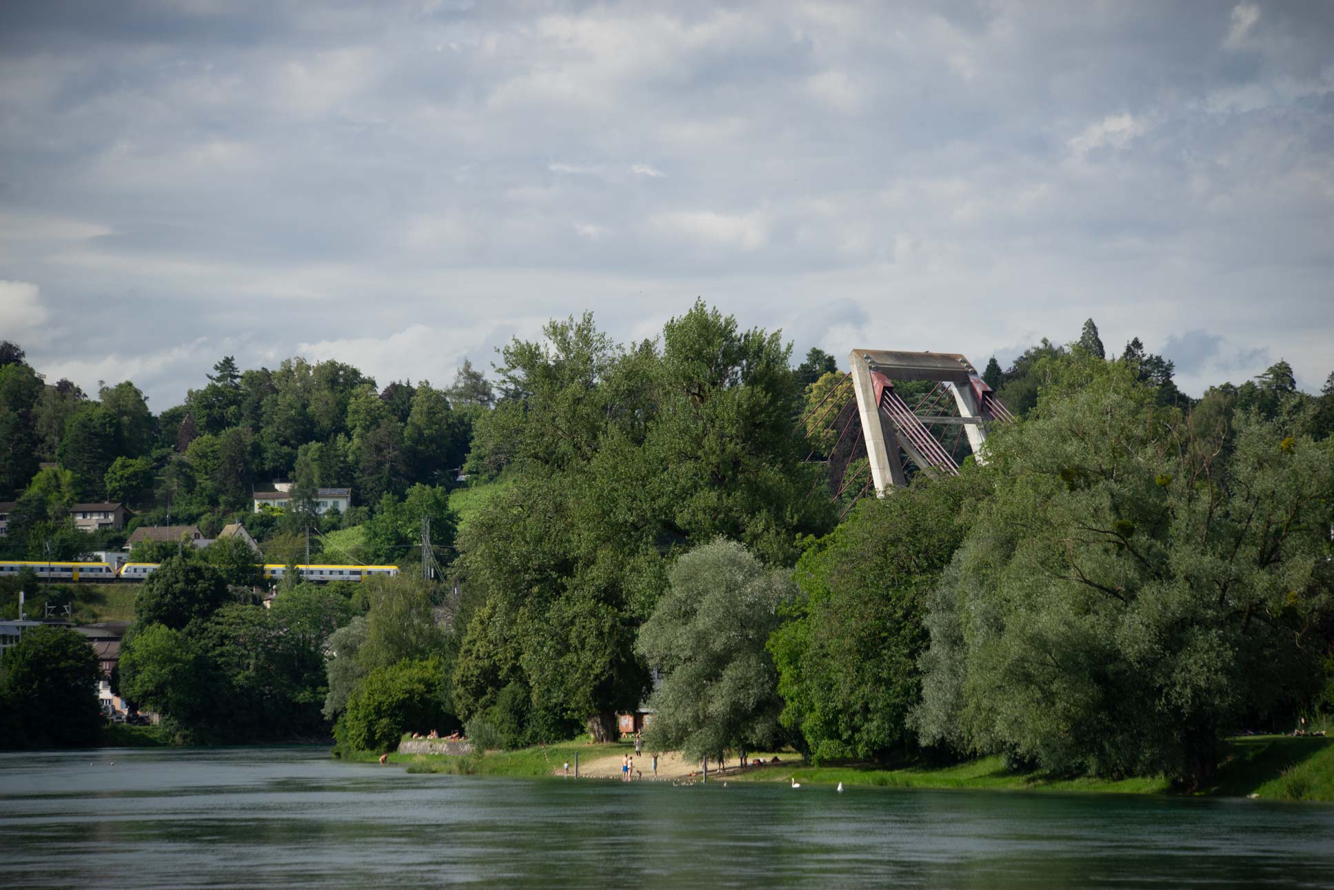 The pylon of the Rheinbrücke N4 is peeking out over the trees.