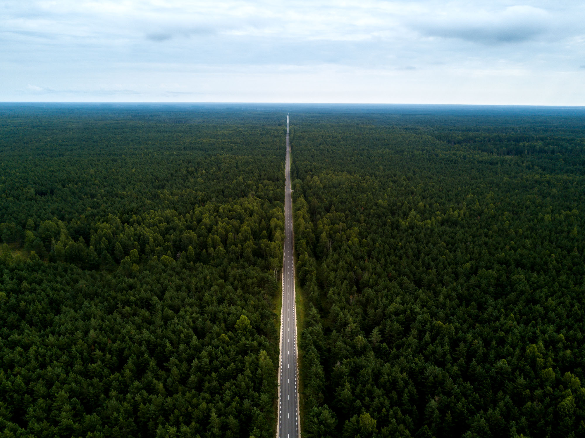 A road on Saaremaa