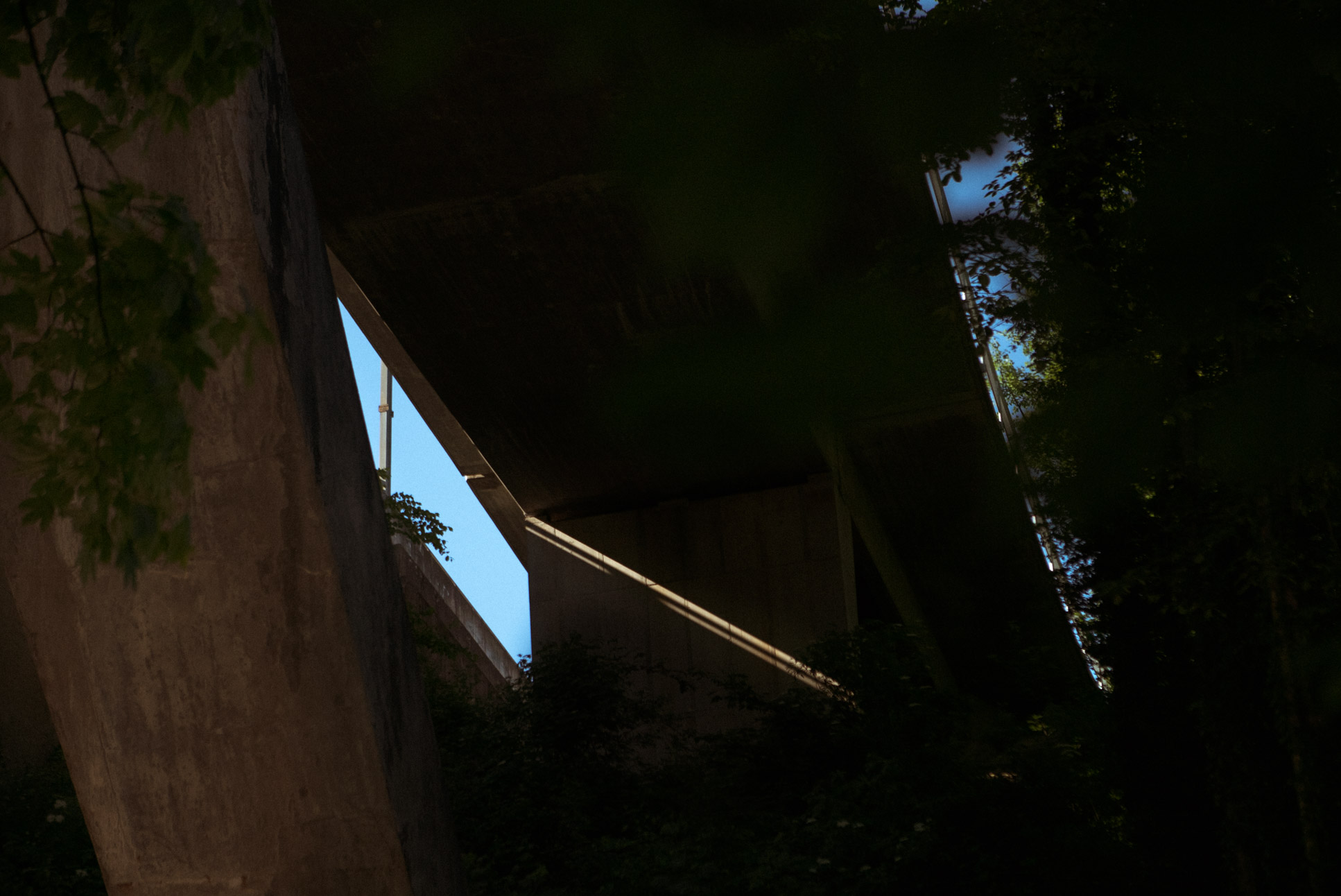 some nice light rays