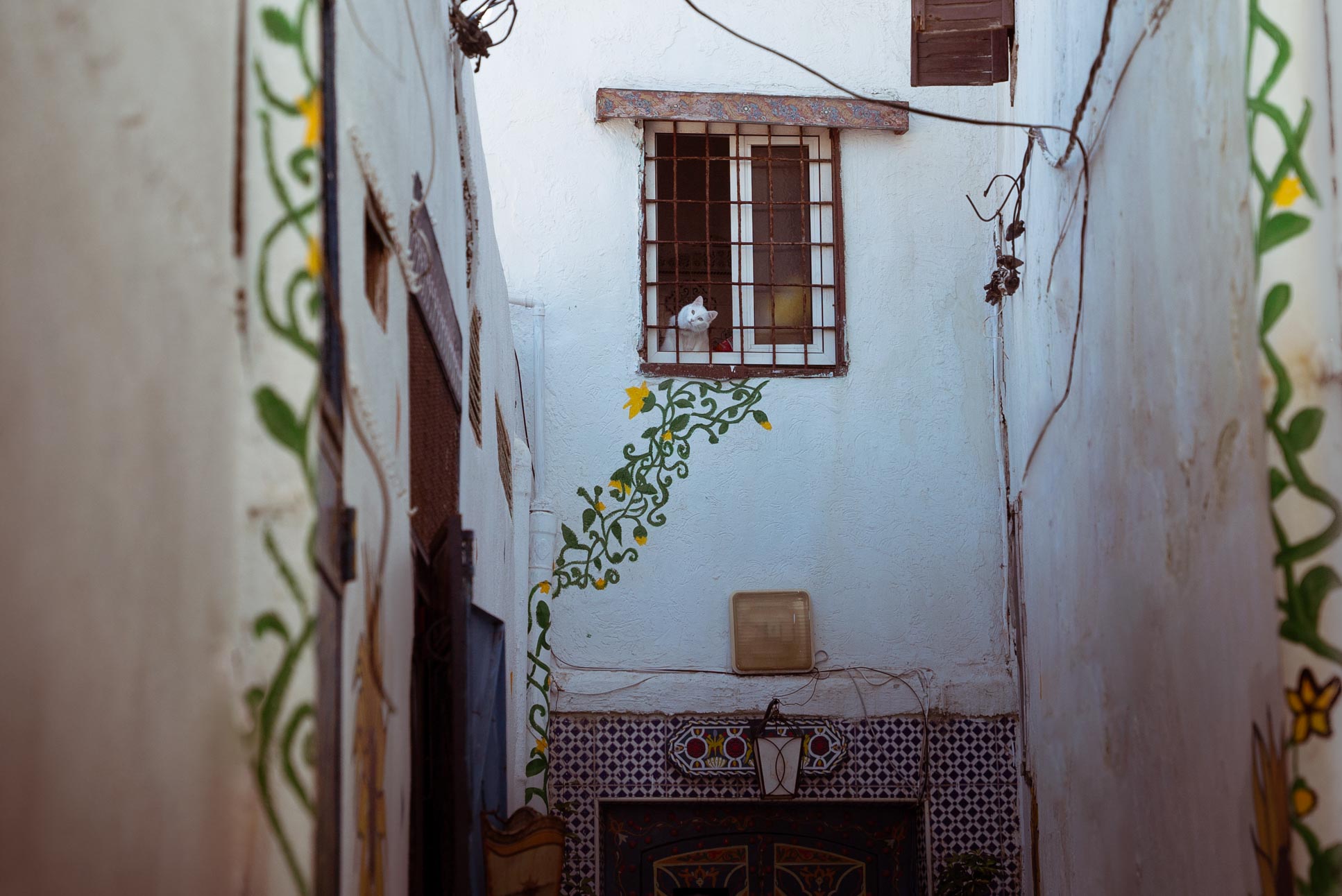 overlooking the market