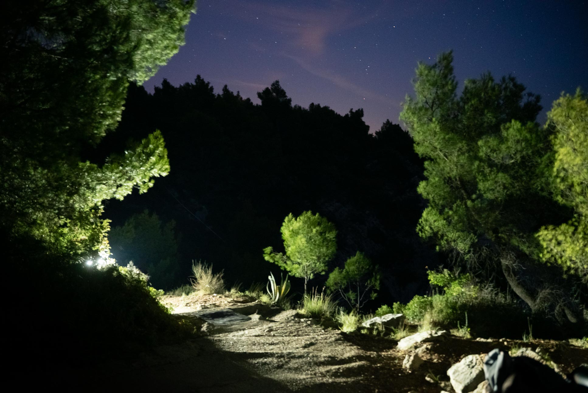 Handheld long exposures always lead to such pretty trees
