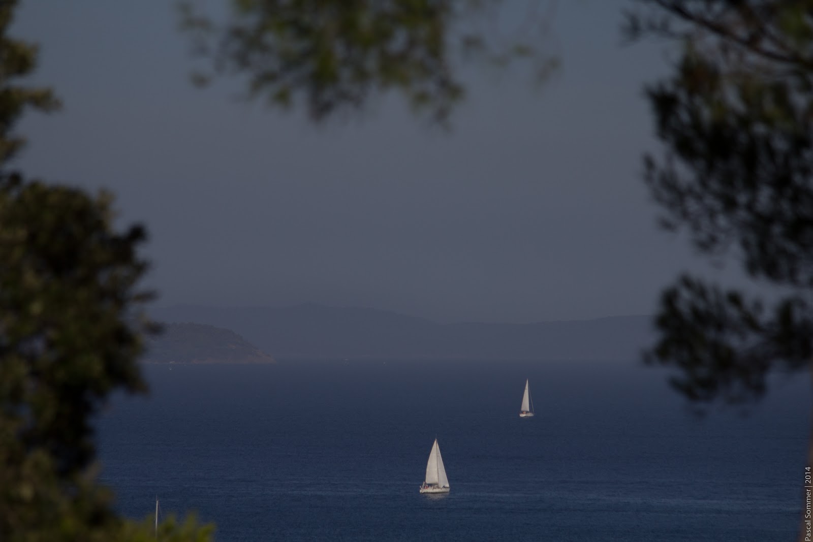 Photo by Pascal Sommer