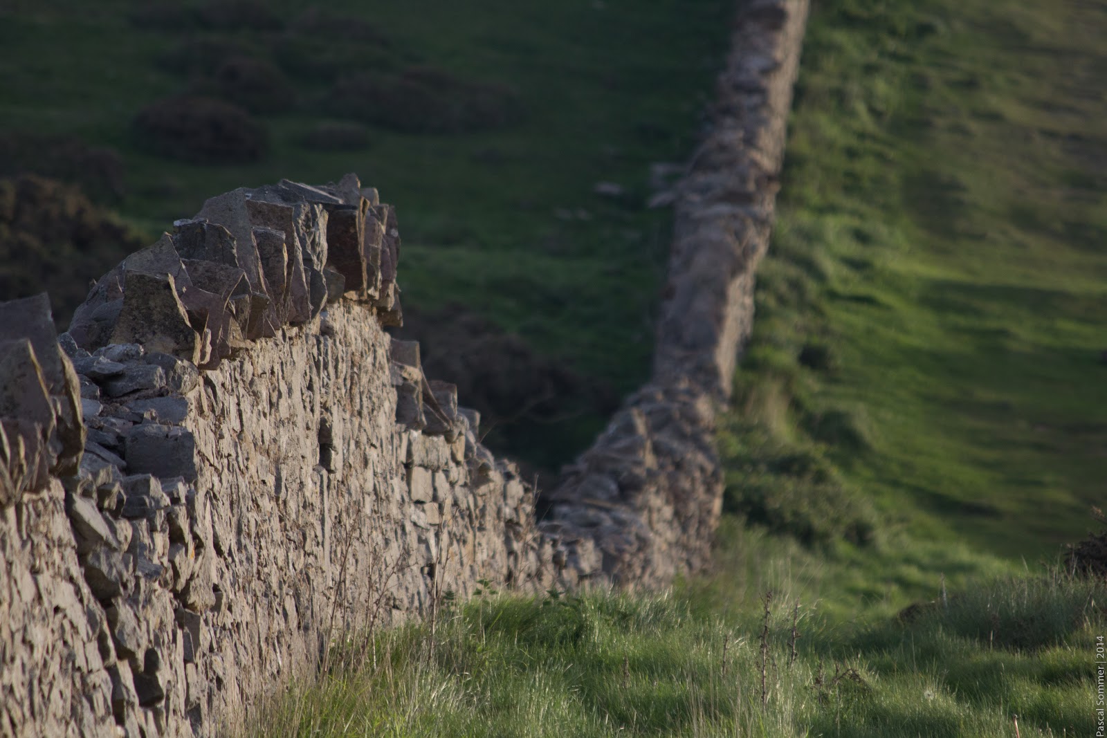 using a 300mm lens to really make those curves stand out