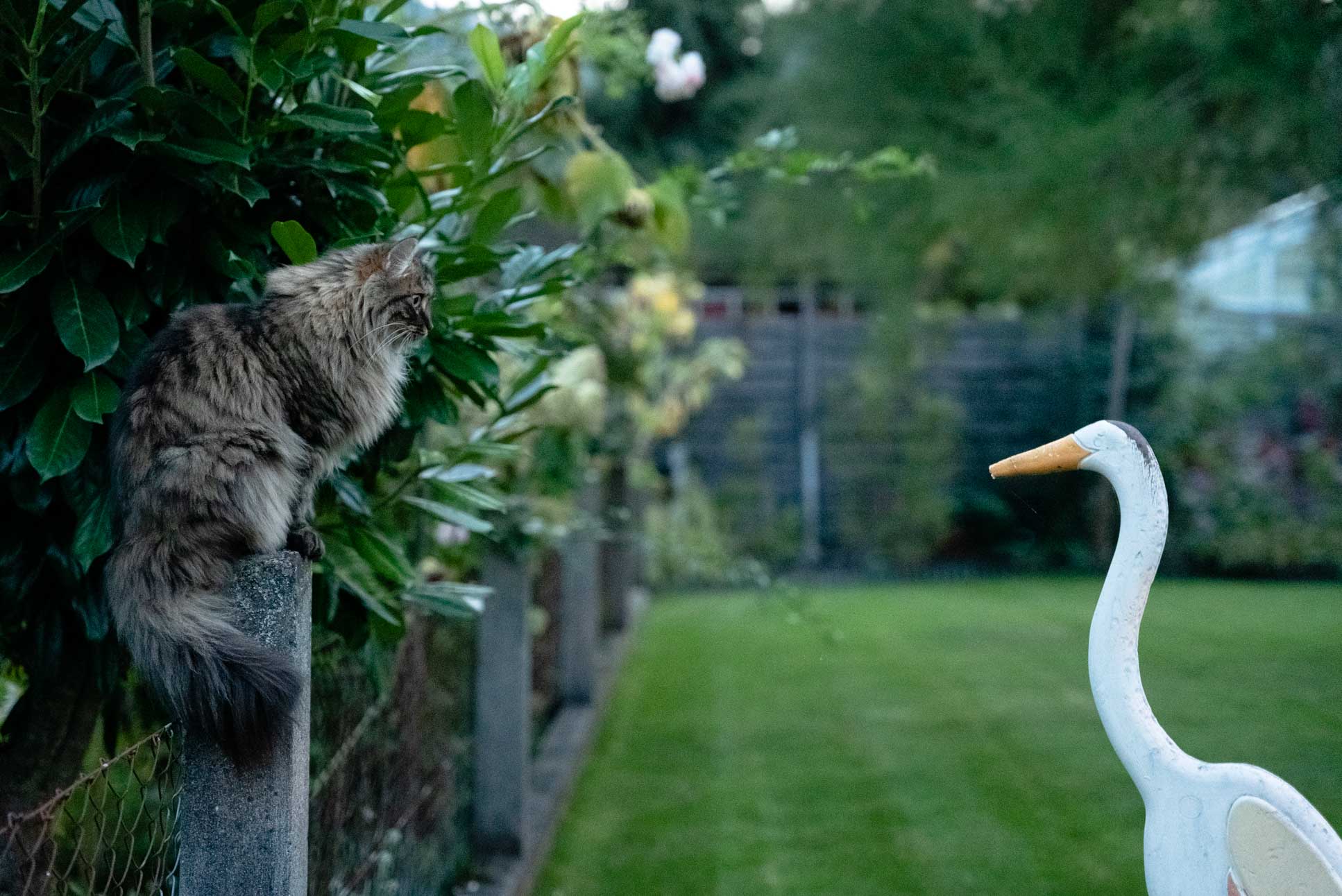 what u lookin at