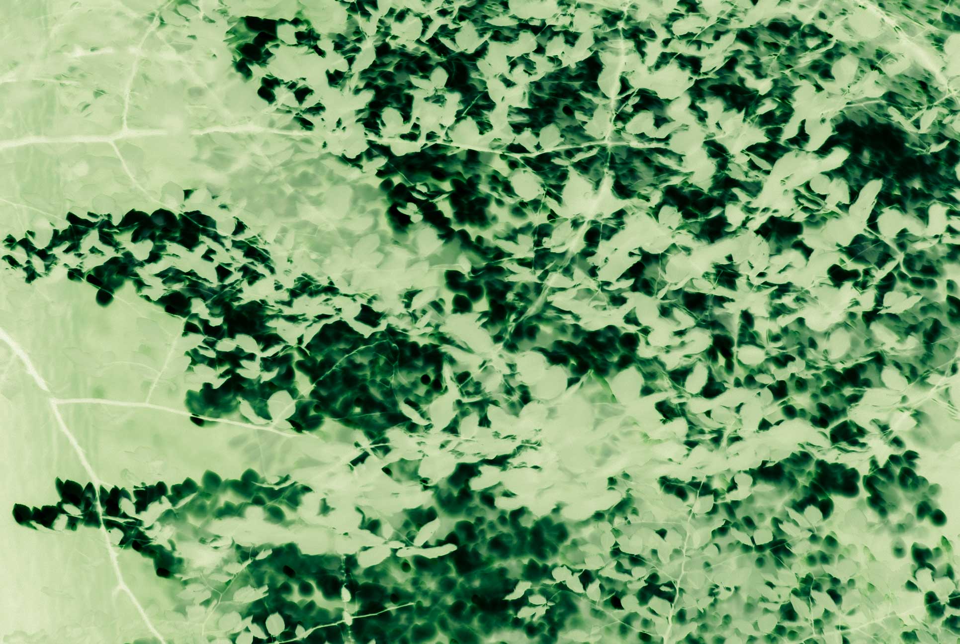 Inverted the brightness and then fiddled around with the colours until I liked them.