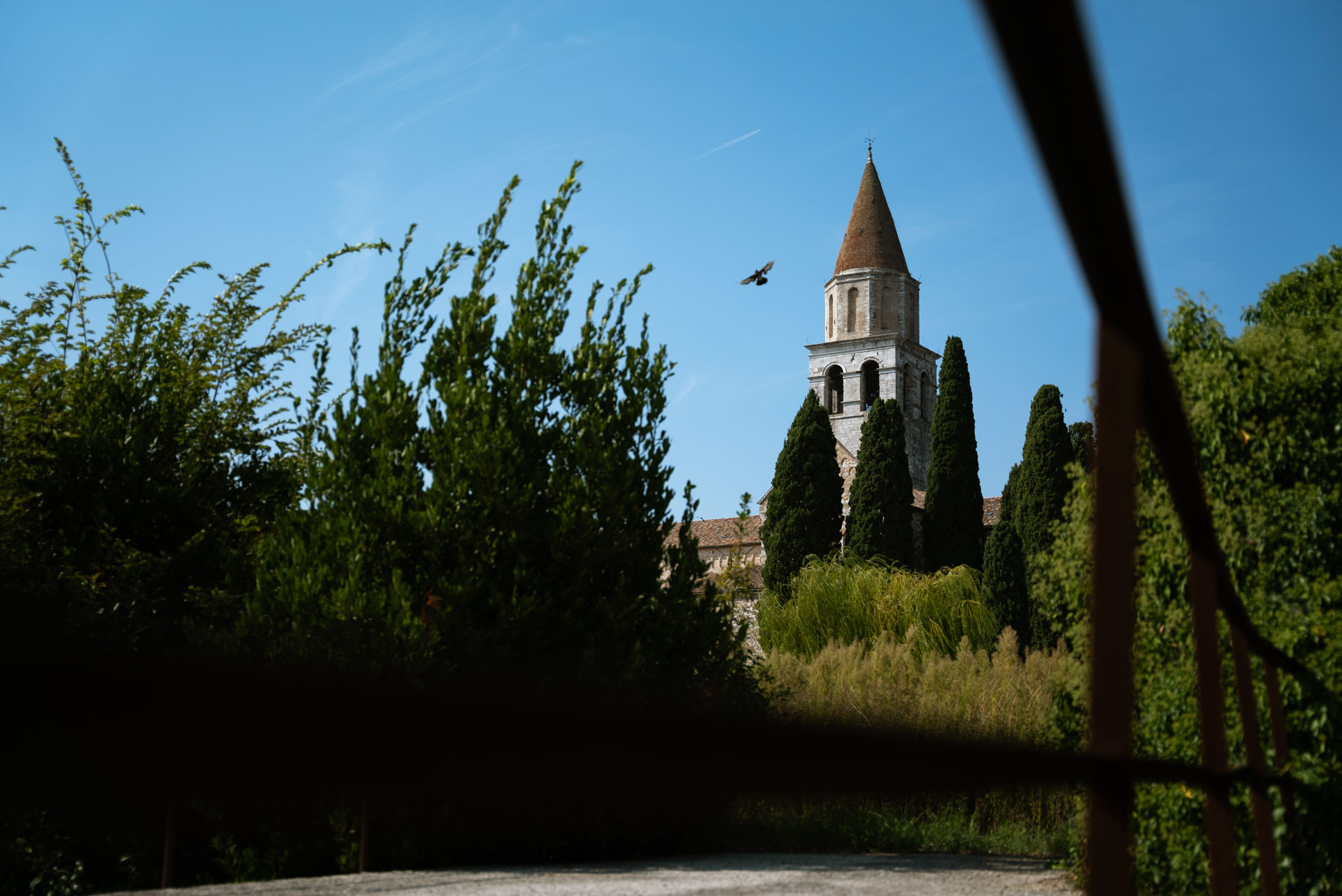 Basilica di Santa Maria Assunta, Aquileia.

Note that the bird is vital to the overall composition of this photo.
