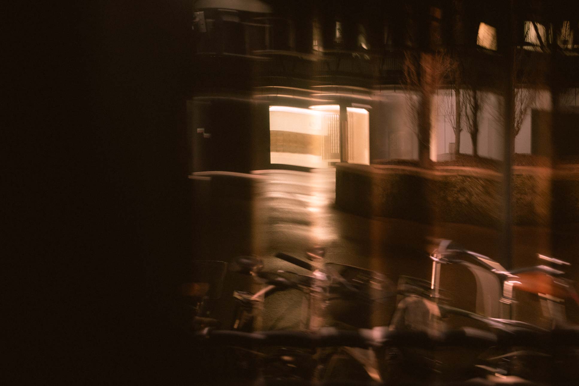 Shot through a wooden fence while walking.