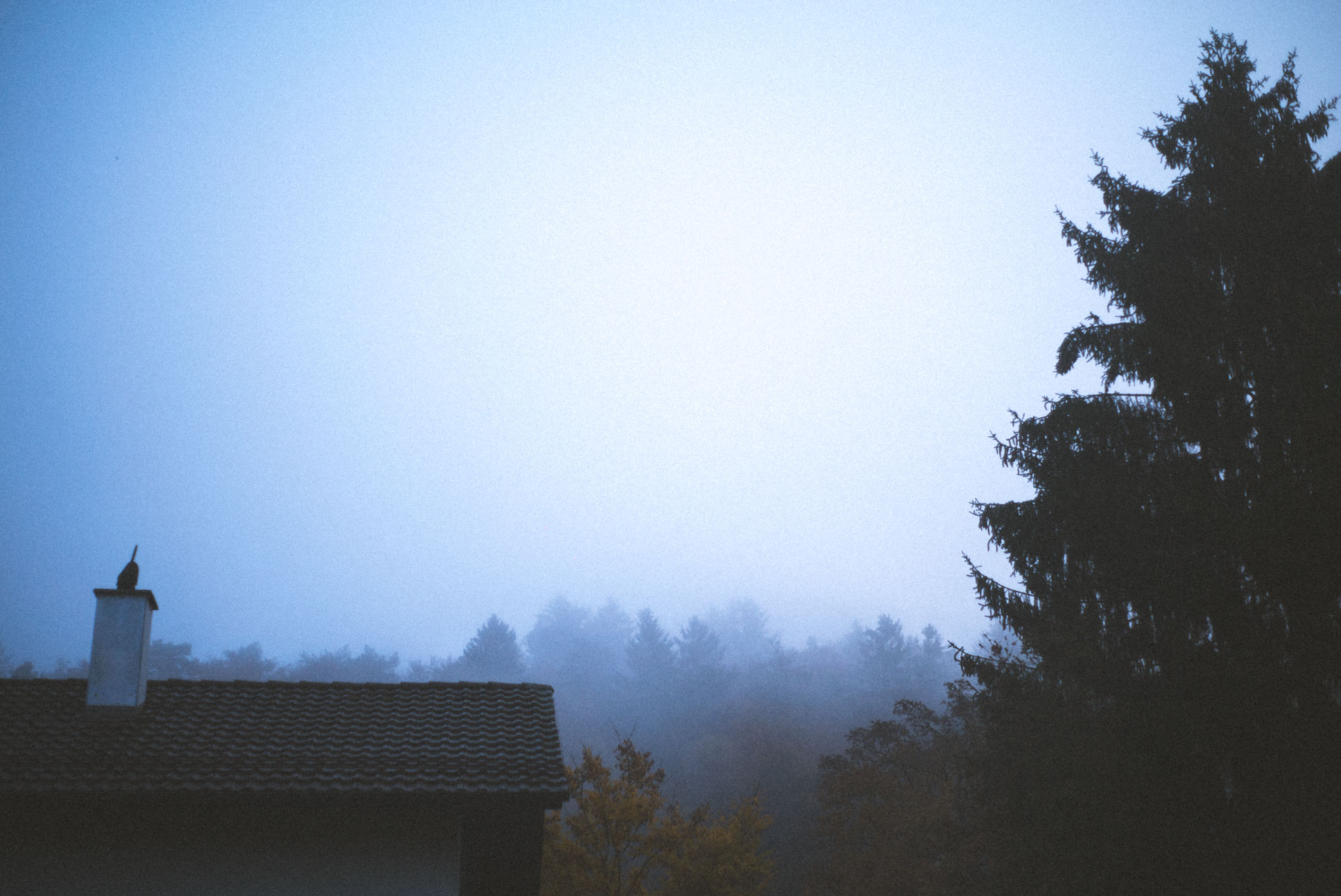 it's November, let's go enter dreamland
