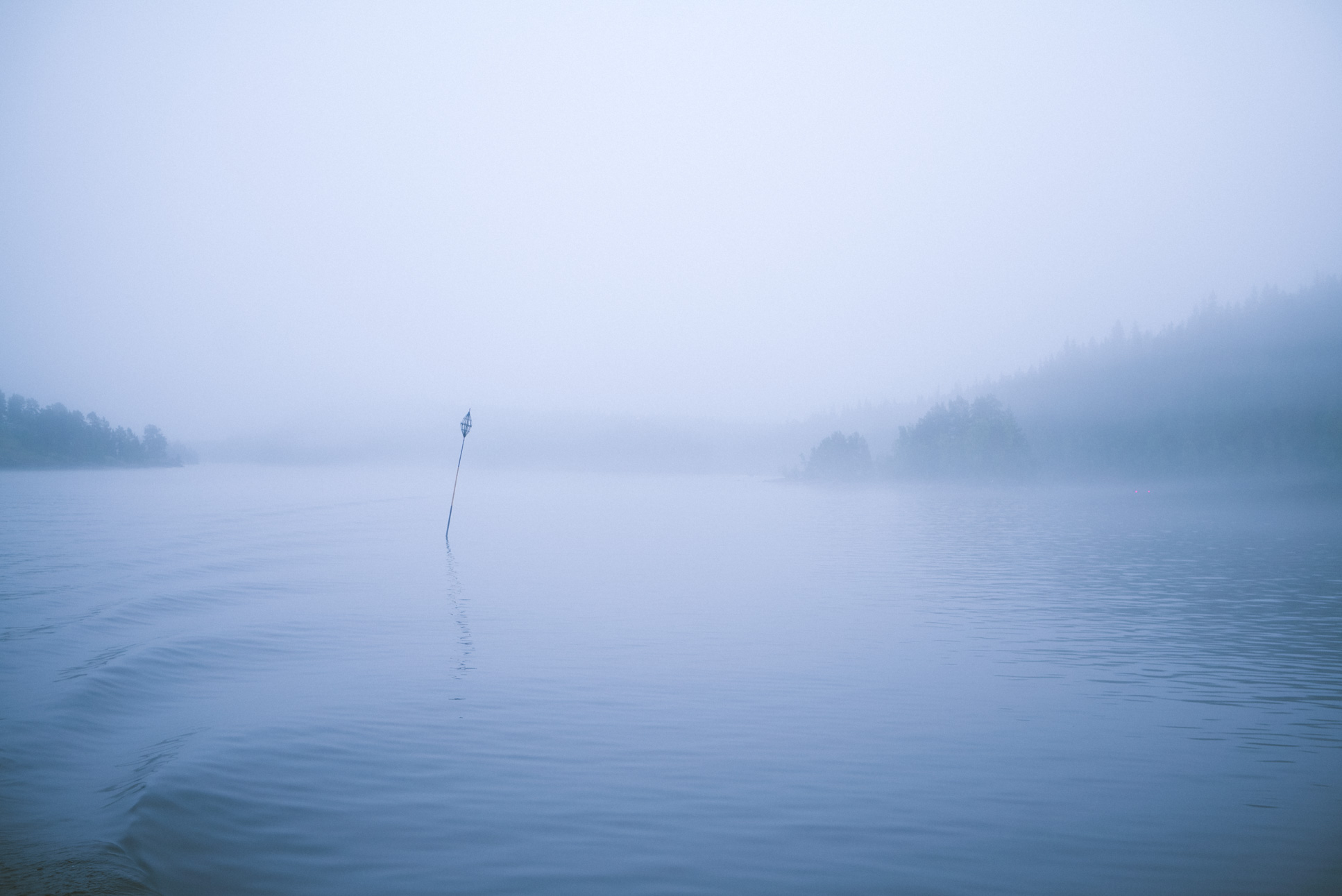 this fog exceeds all my hopes