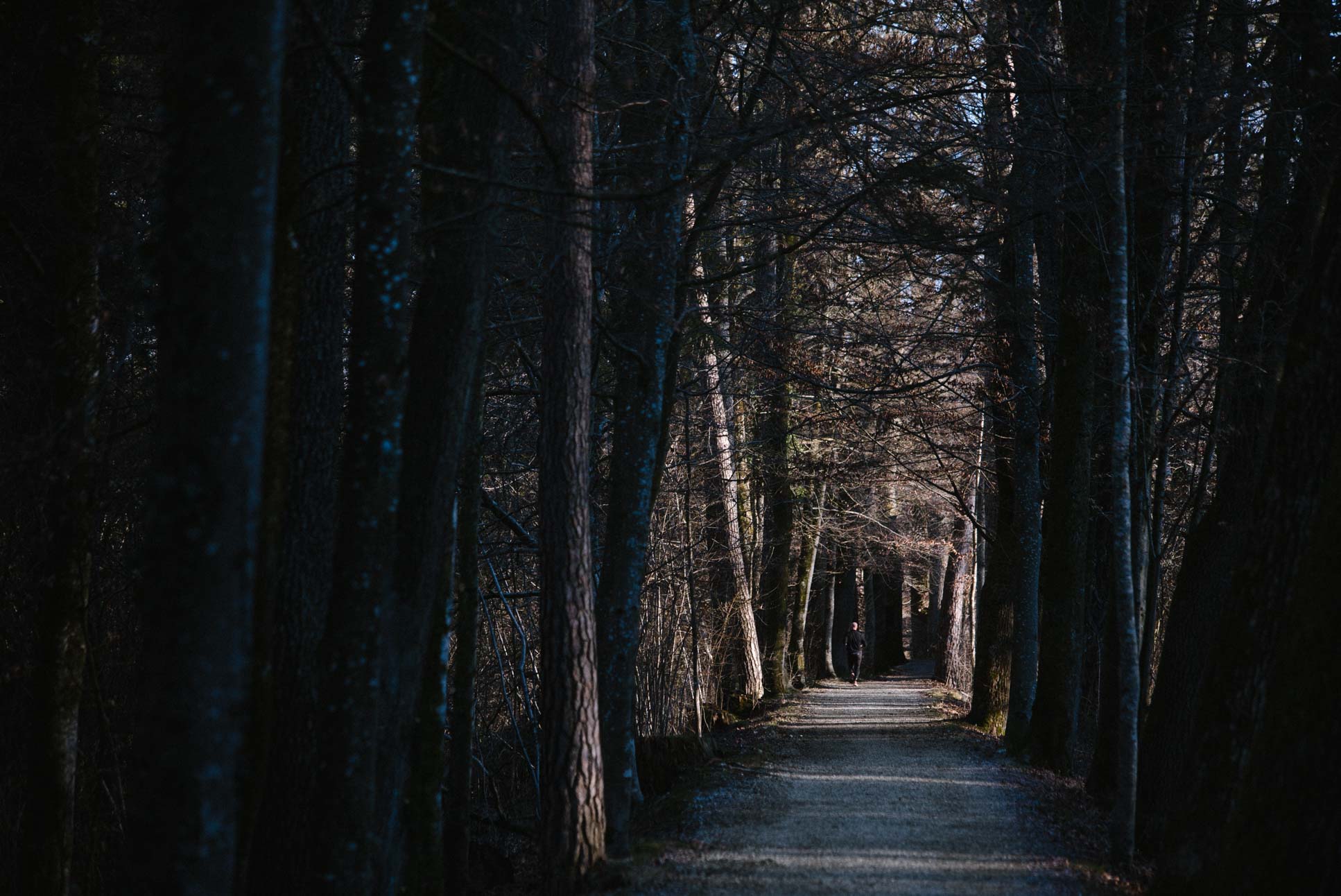 Photo by Pascal Sommer