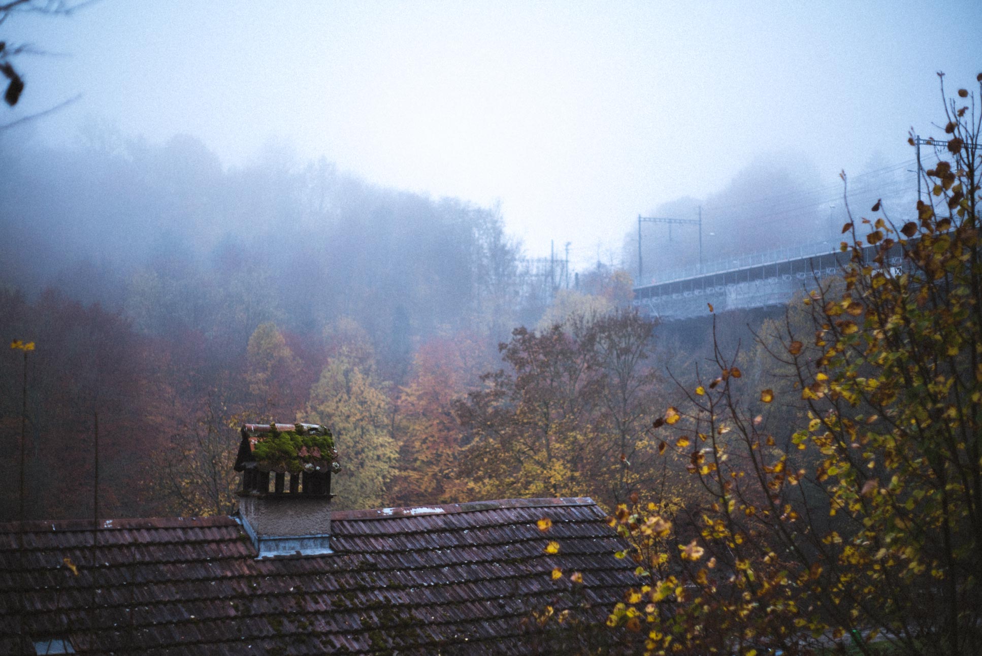 Photo by Pascal Sommer