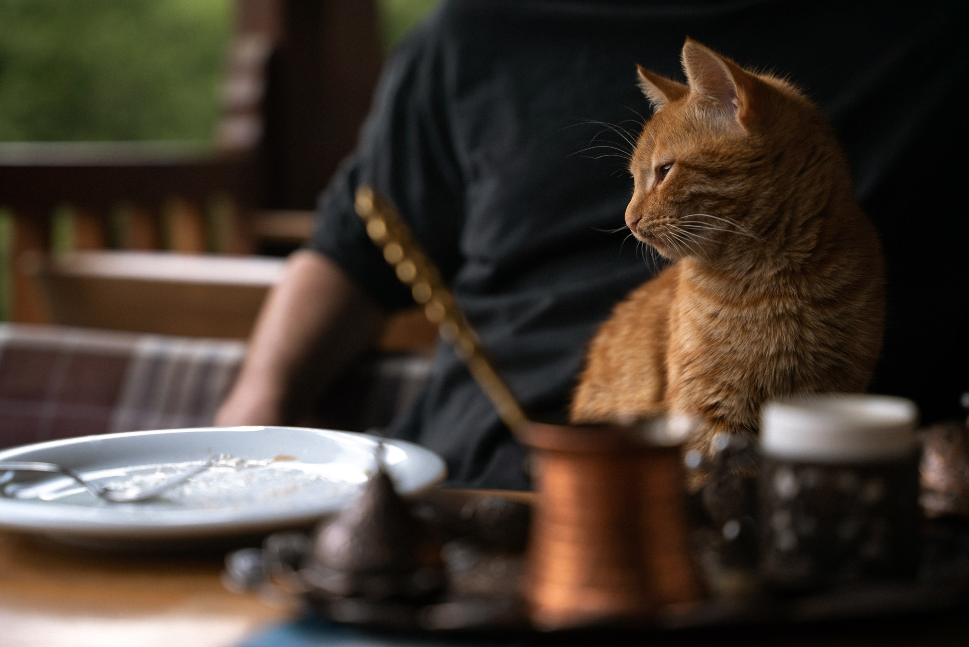 cat joining us for a snack