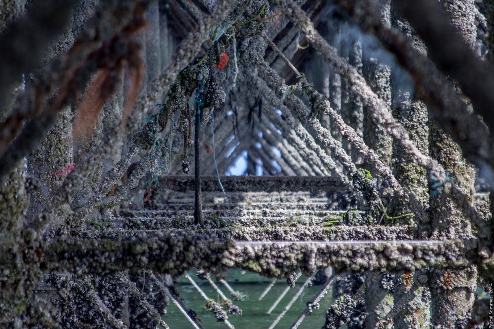 Underneath the Llandudno Pier