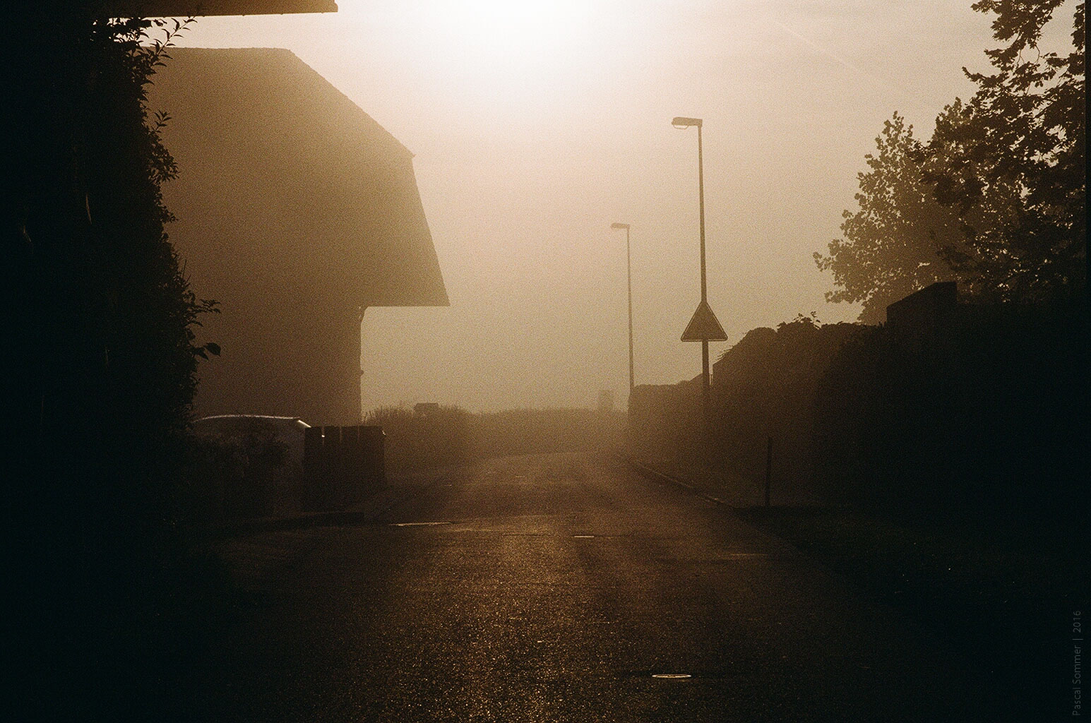 Fog, early in the morning. Shot on analog.
