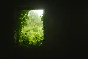 abandoned house near Galway