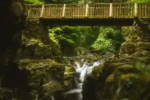 Tollymore Forest Park