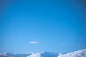 needs more blue